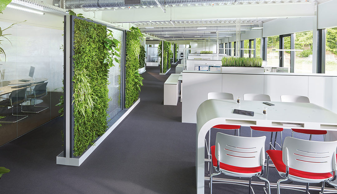 4 Benefits of Integrating Biophilic Design into the Office Archives