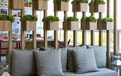 4 Reasons Why Biophilic Design is Great for Your Home